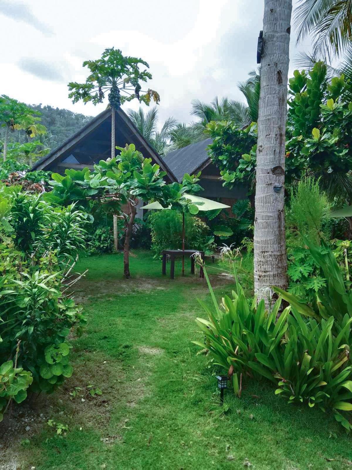 Coleto Siargao Panzió San Isidro  Kültér fotó