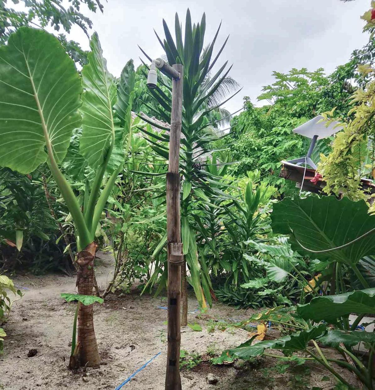 Coleto Siargao Panzió San Isidro  Kültér fotó