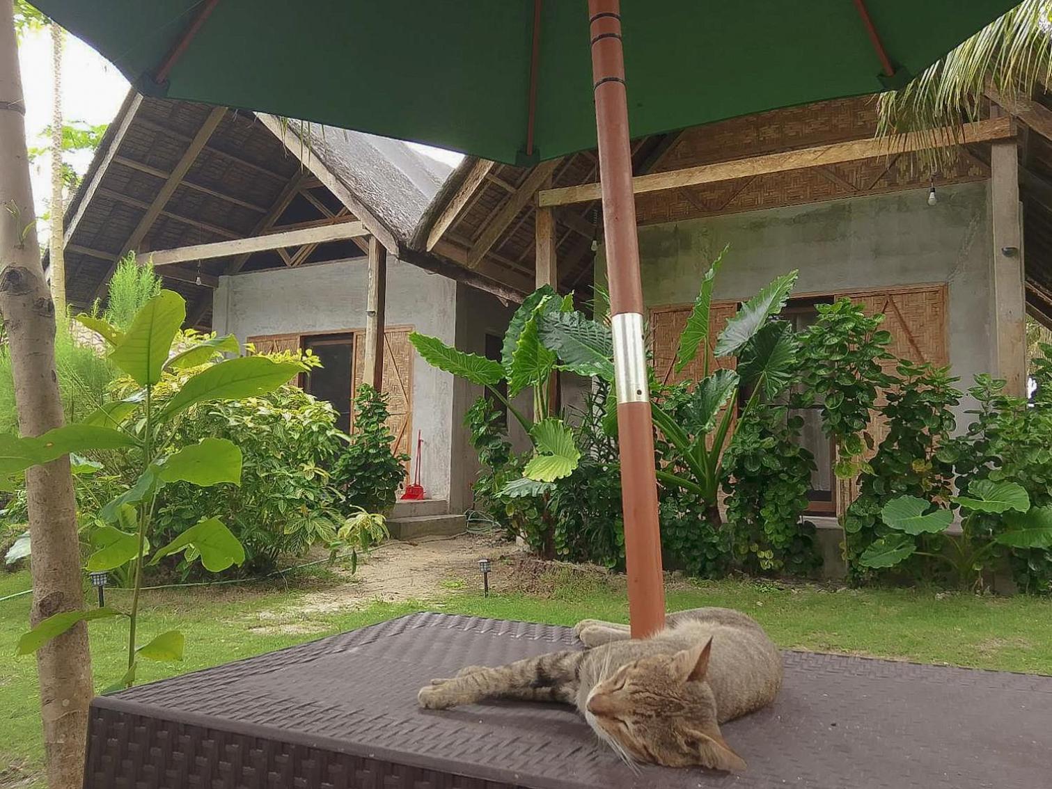 Coleto Siargao Panzió San Isidro  Kültér fotó