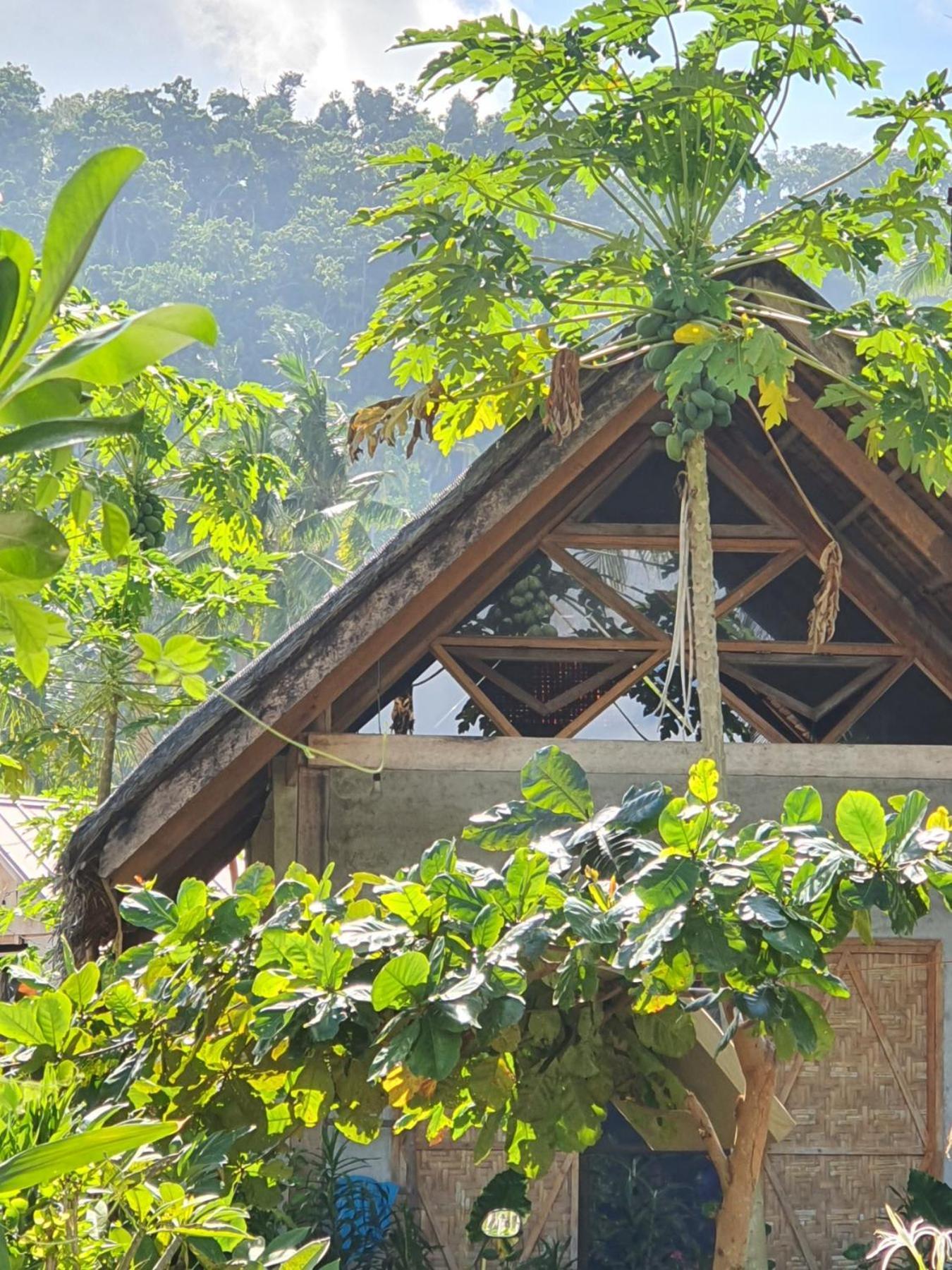 Coleto Siargao Panzió San Isidro  Kültér fotó
