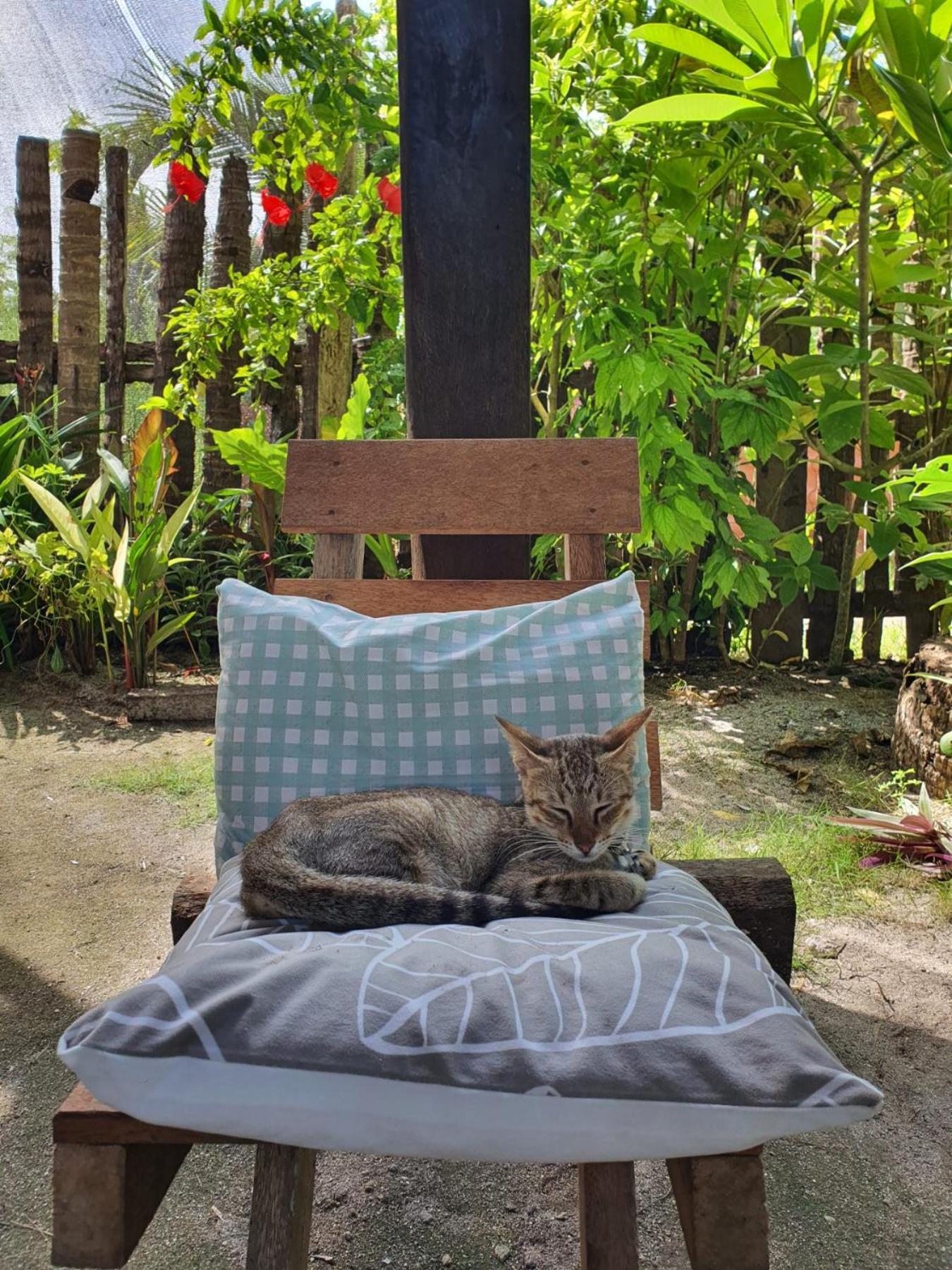 Coleto Siargao Panzió San Isidro  Kültér fotó