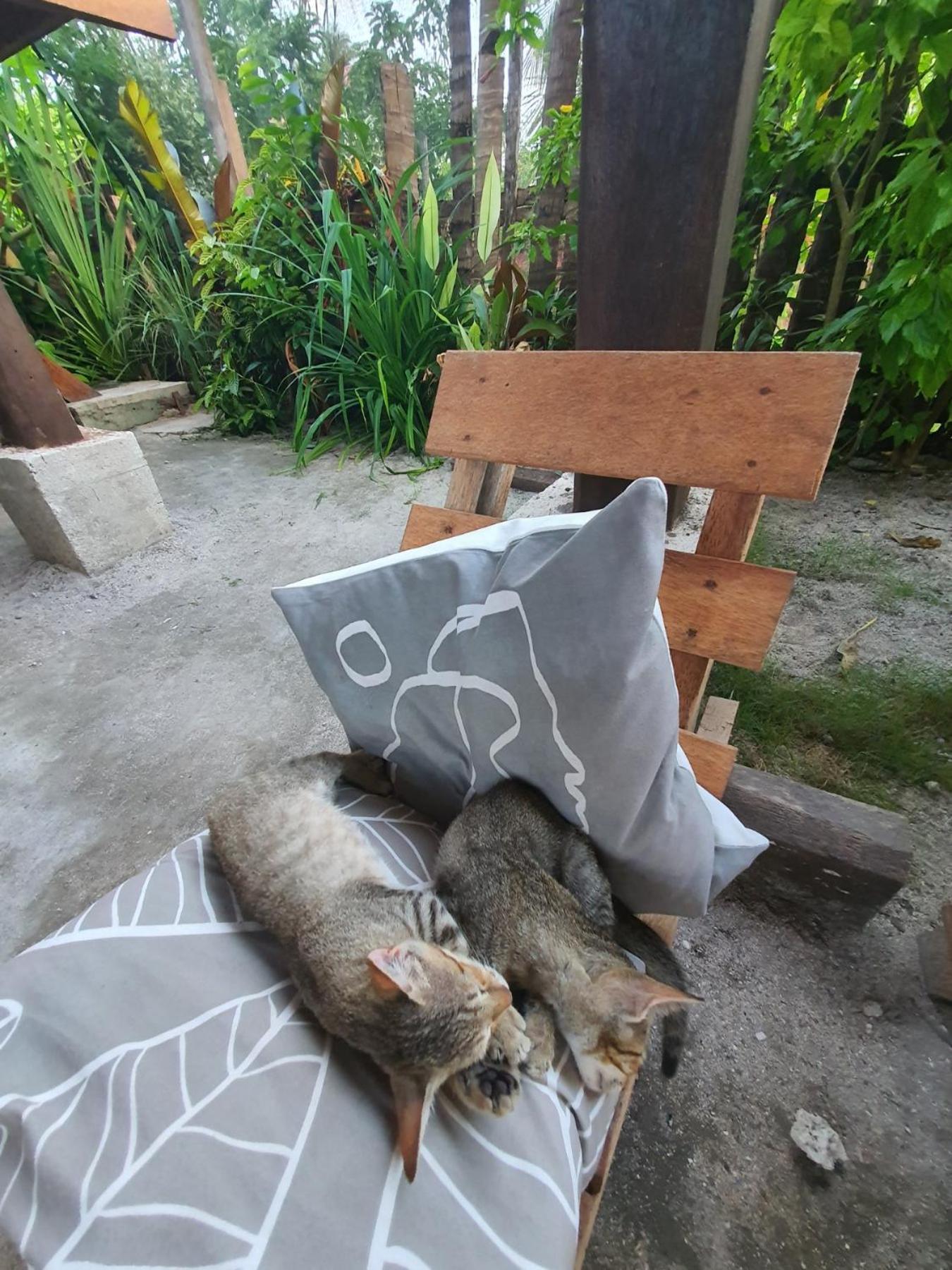 Coleto Siargao Panzió San Isidro  Kültér fotó